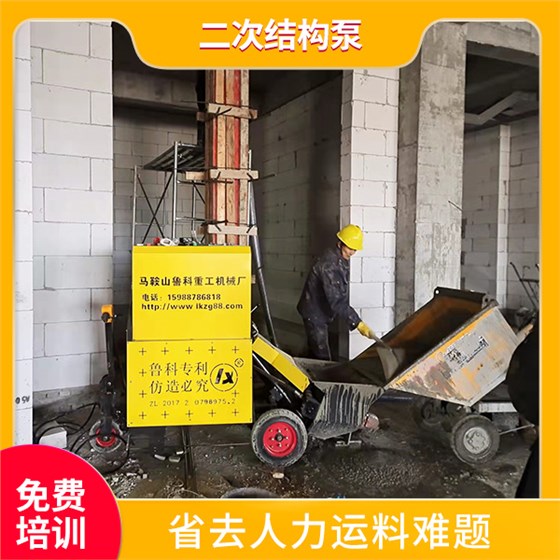 二次結(jié)構(gòu)輸送泵