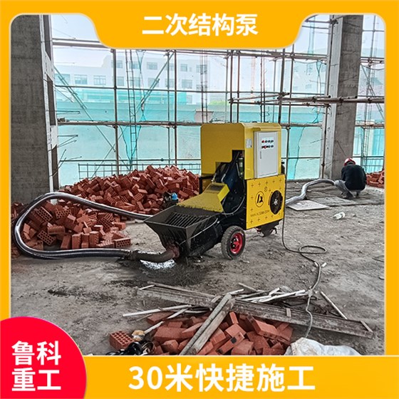 電動(dòng)二次結(jié)構(gòu)輸送泵