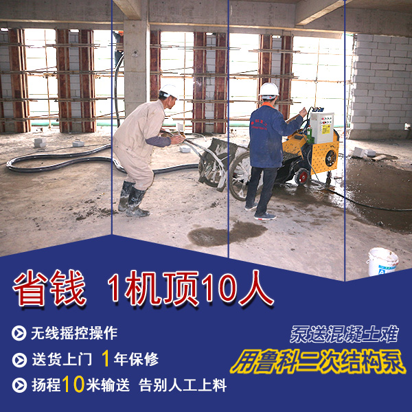 小型二次構(gòu)造柱泵有什么特點