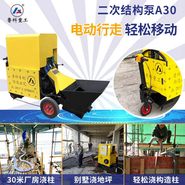 小型電動(dòng)二次構(gòu)造柱輸送泵多少錢